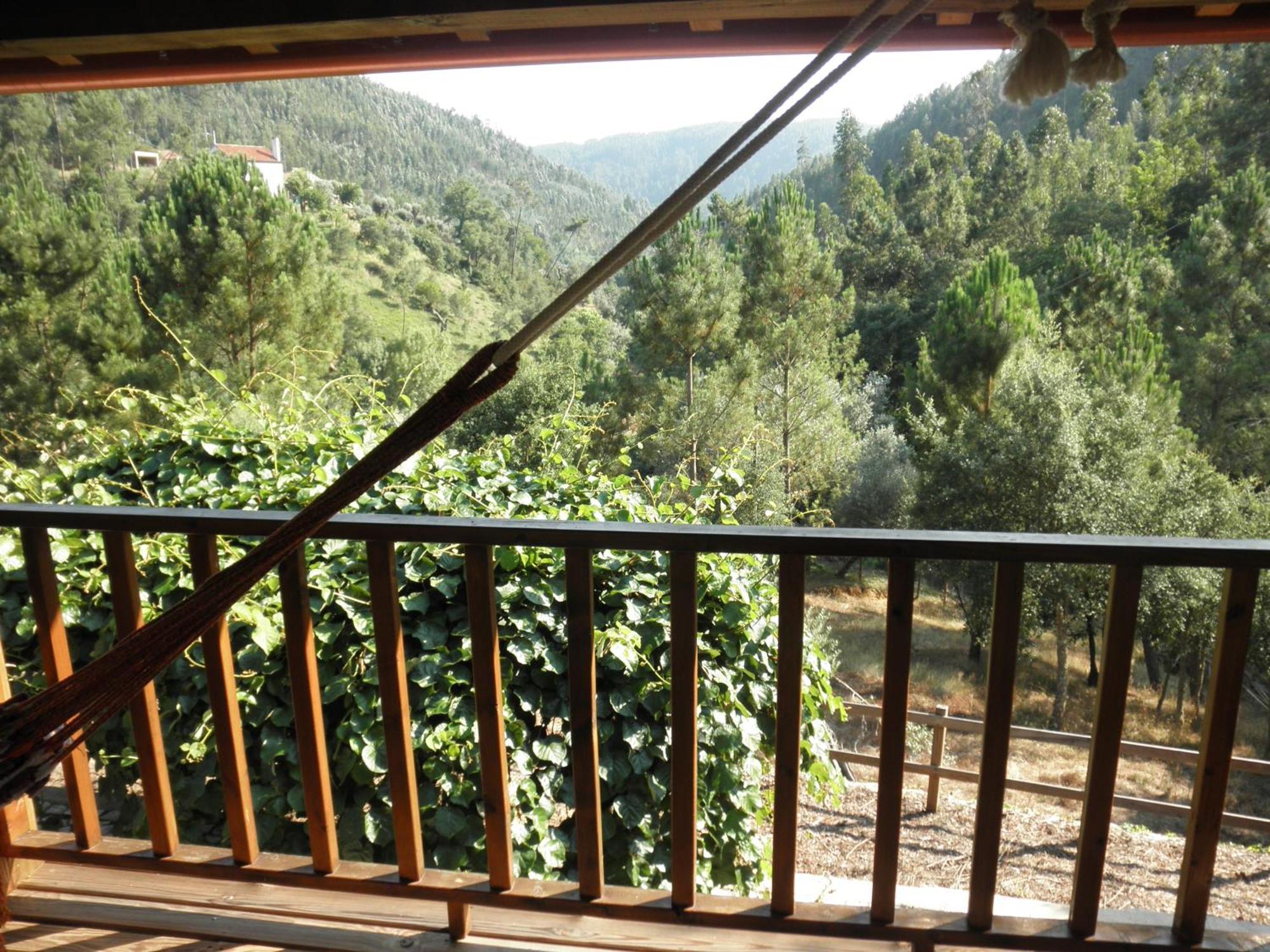 Casa Velha Villa Figueiro Dos Vinhos Eksteriør bilde