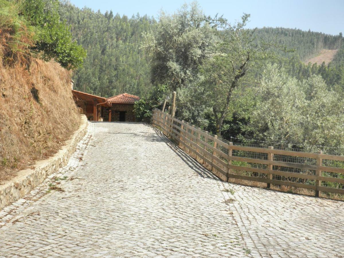 Casa Velha Villa Figueiro Dos Vinhos Eksteriør bilde