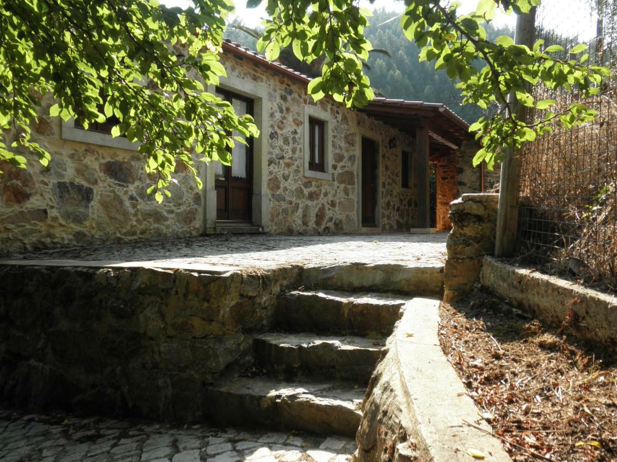 Casa Velha Villa Figueiro Dos Vinhos Eksteriør bilde